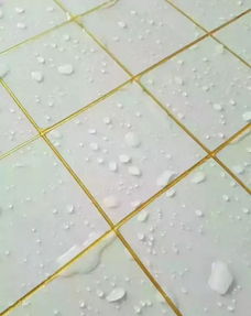 裝修半年腸子都悔青了 家里貼瓷磚的都應(yīng)該看看