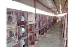 維書(shū)養(yǎng)兔設(shè)備廠(chǎng) 瓷磚兔籠配件 水泥兔籠配件