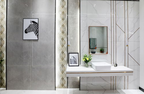 金舵瓷磚九江葉小娟 逆行而上，實現人生價值